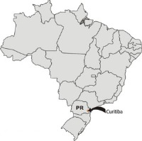 curitiba mapa do brasil